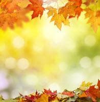 Vibrant orange and yellow maple leaves frame a bright, blurry background with soft bokeh lights.